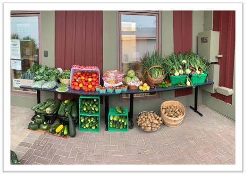 A total of 466.7 pounds of garden-fresh produce donated to the Emergency Food Cupboard by the community of Merrickville and Garden 9 in Elgin this past August 2021.